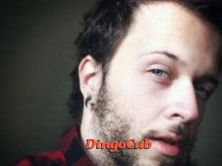 DingoCub