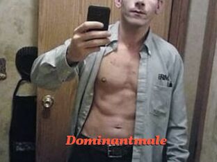 Dominantmale