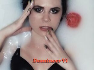 DomineerVi