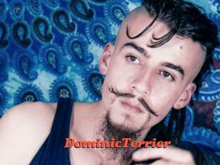 DominicTerrier