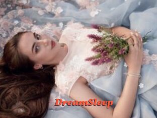 DreamSleep