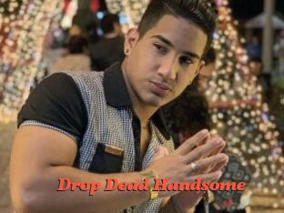 Drop_Dead_Handsome