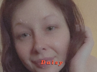 D_a_i_s_y