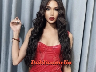 Dahliaamelia
