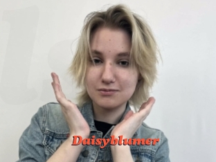 Daisyblumer
