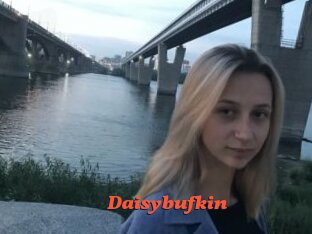 Daisybufkin