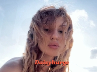 Daisyburge