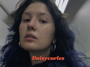 Daisycurles