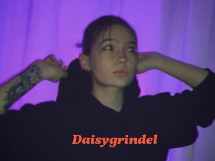 Daisygrindel