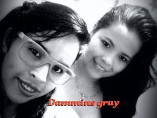 Dammins_gray