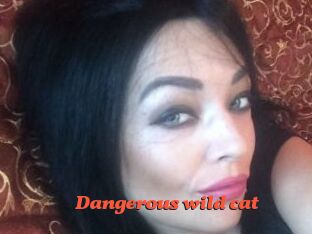 Dangerous_wild_cat