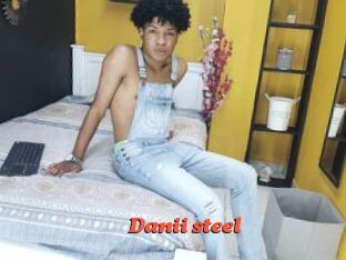 Danii_steel