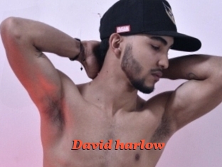 david_harlow Livespot