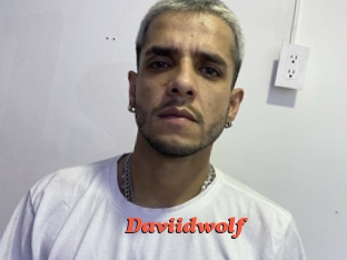 Daviidwolf