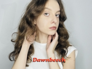Dawnbeech