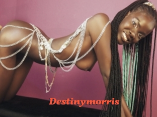 destinymorris Livespot