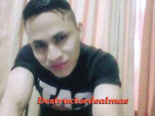 Destructordealmas
