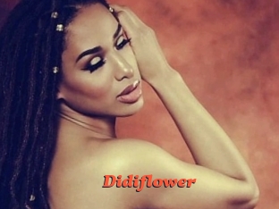 Didiflower