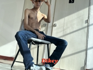 Dikey