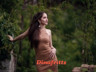 Dinafrittz