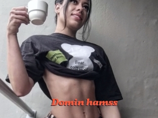 Domin_hamss