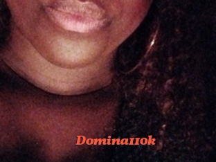 Domina110k
