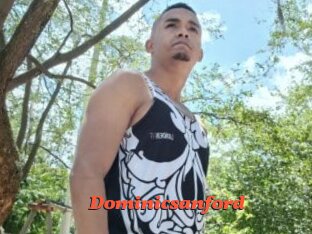 Dominicsanford