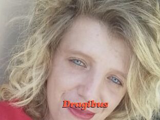 Dragibus