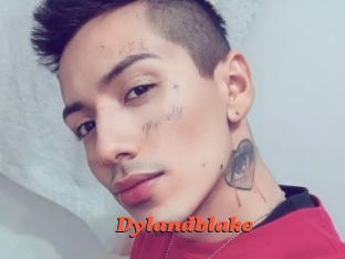 Dylandblake