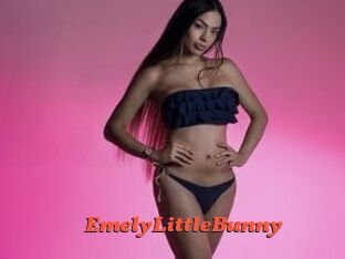 EmelyLittleBunny