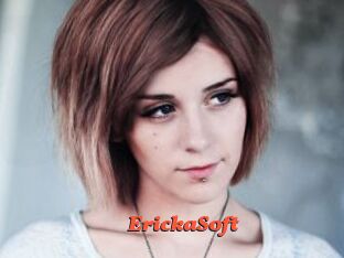 ErickaSoft