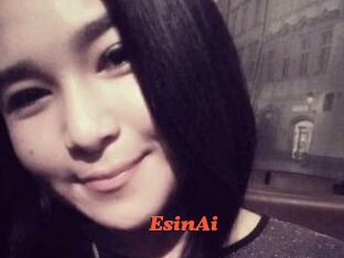EsinAi