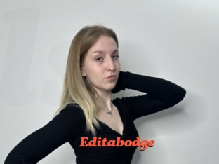 Editabodge