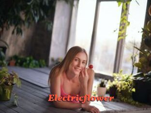 Electricflower