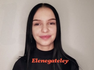 Elenegateley