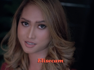 Elisecam
