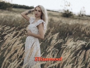 Elizamool