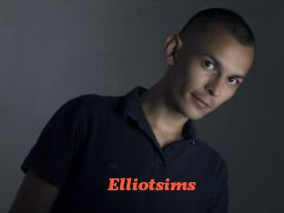 elliotsims Livespot