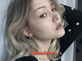 Elvacherie