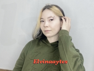 Elvinaaytes