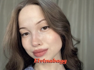 Elvinabagg