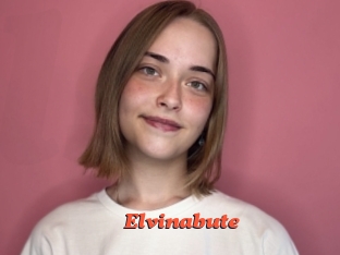 Elvinabute
