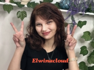 Elwinacloud