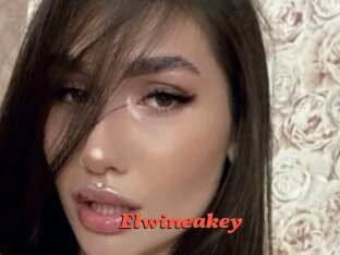 Elwineakey