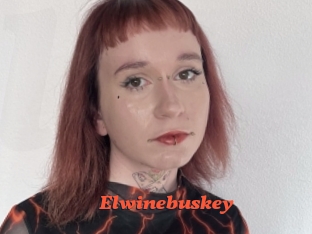 Elwinebuskey