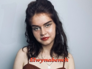 Elwynabench