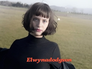 Elwynadodgson