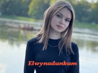 Elwynadunkum