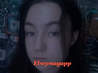 Elwynagapp