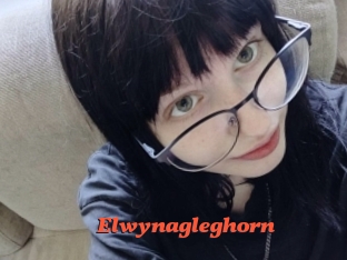 Elwynagleghorn